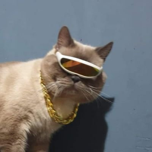 ░ẃ̵͇░a̶̞̋░l̷̙̭̅sk░a̶̞̋r